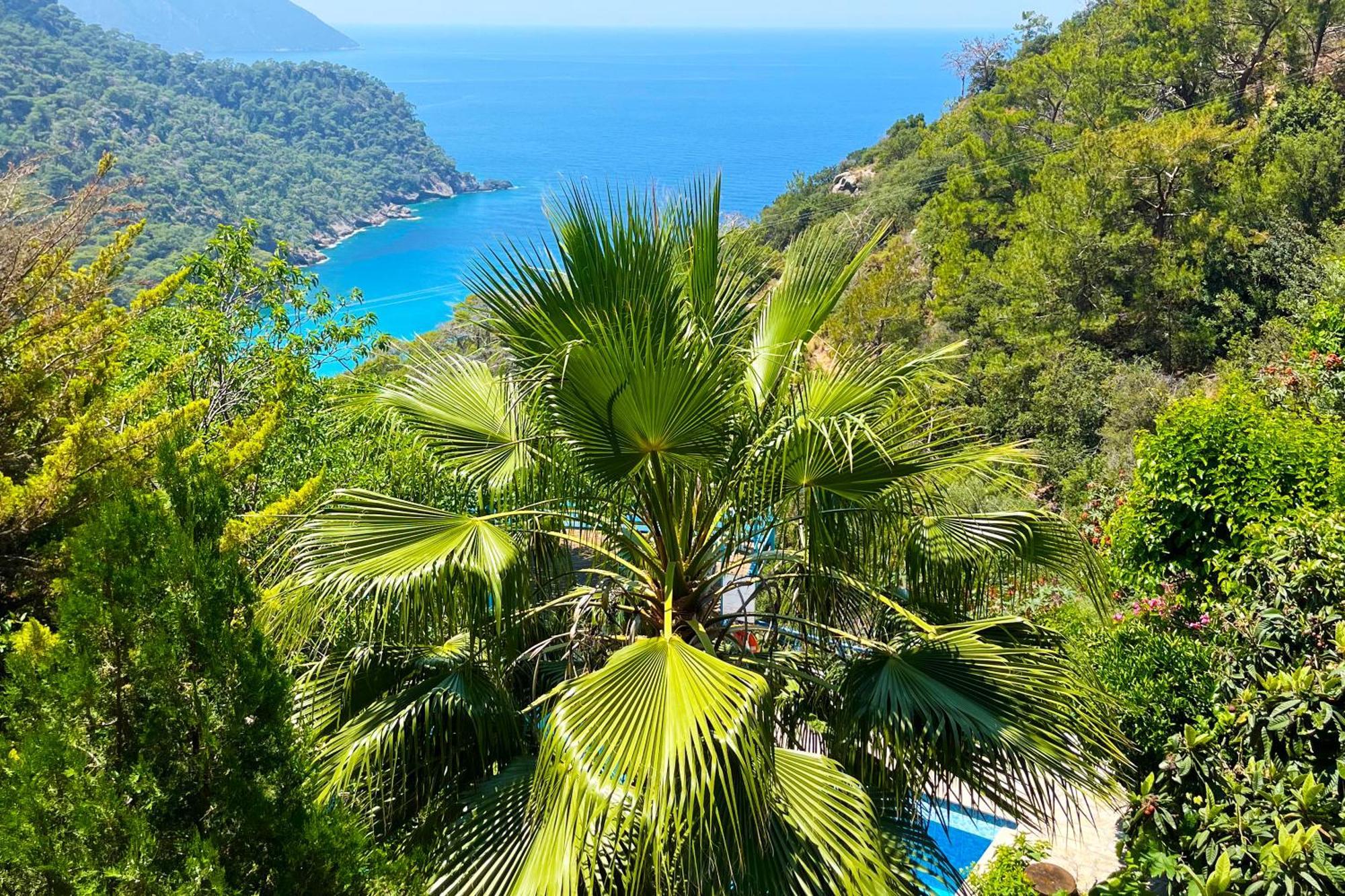 Fullmoon Camp Villa Faralya Dış mekan fotoğraf